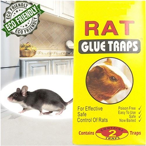 Trampes adhesives per a ratolines per a insectes